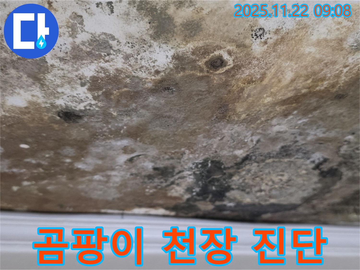 서울 마포구 새창로8길 - 현대홈타운 곰팡이 천장 누수 긴급 진단