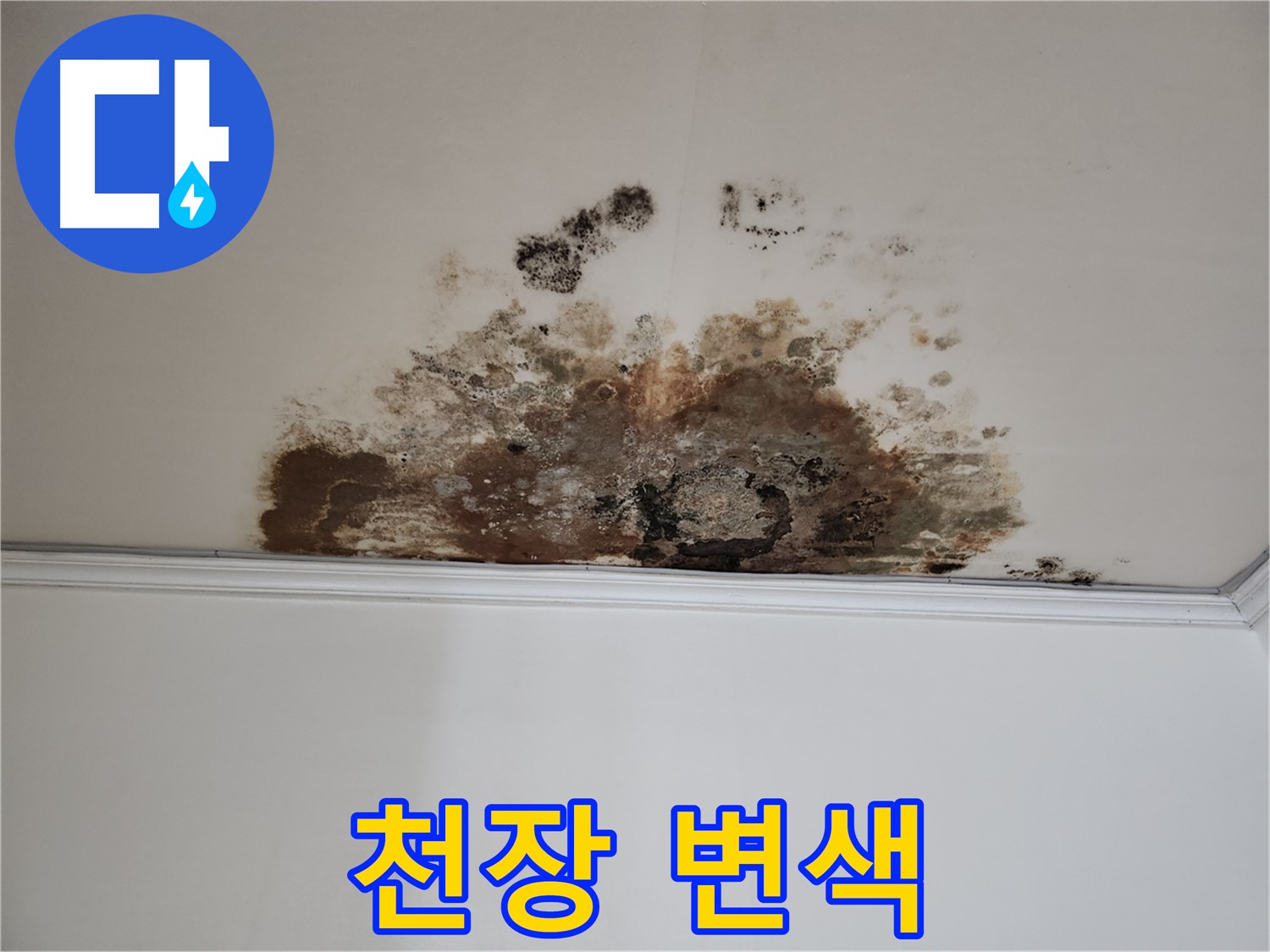 용강동 누수 - 곰팡이로 변색된 천장