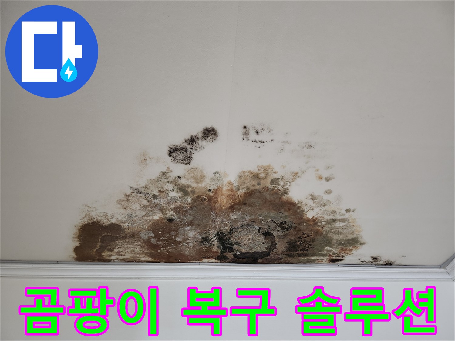 용강동 누수 해결 - 곰팡이 천장, 확실한 복구 솔루션 제공
