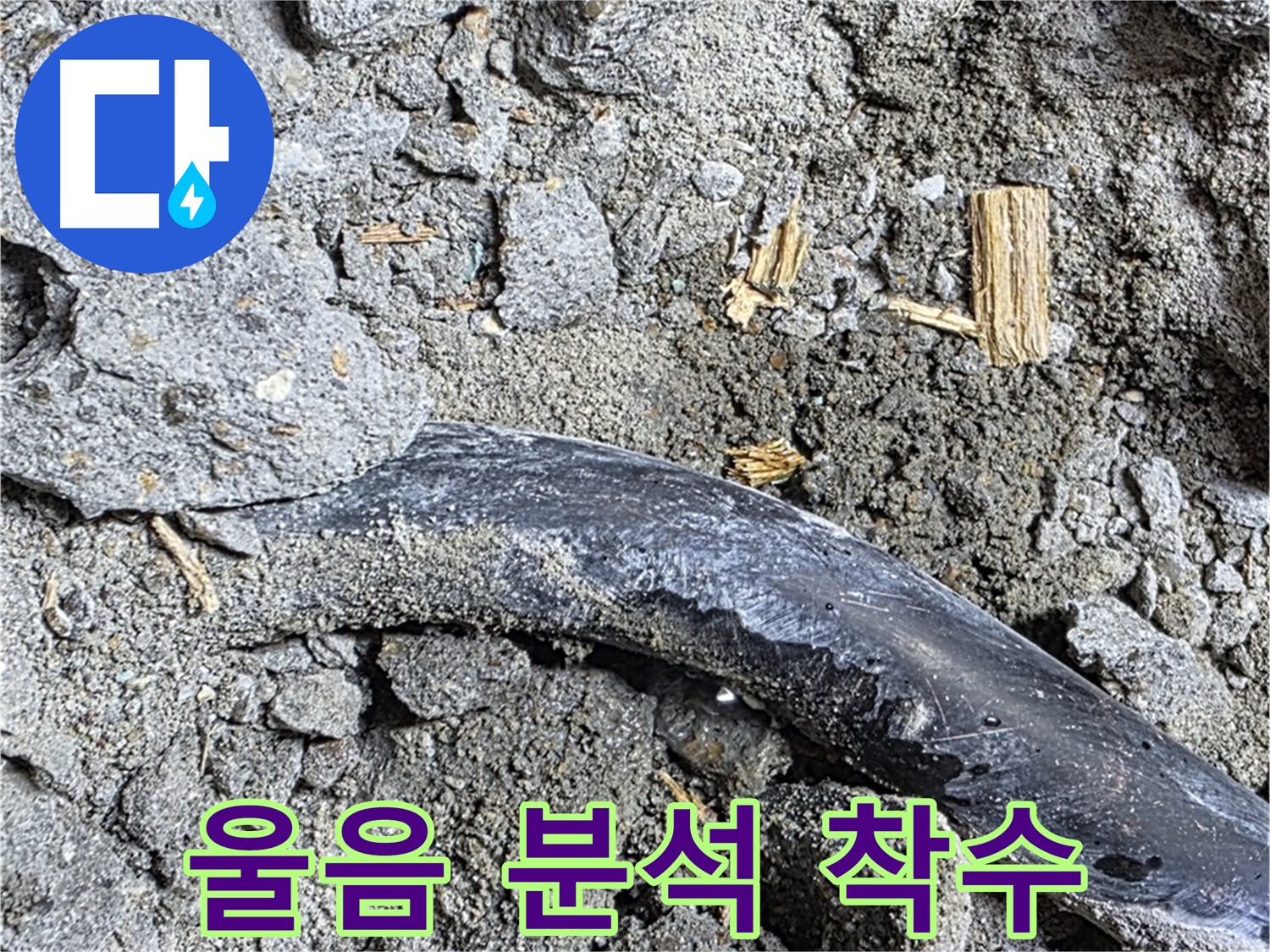 마포구 용강동 현대홈타운 - 젖은 흙 - 누수 진행 중 의심