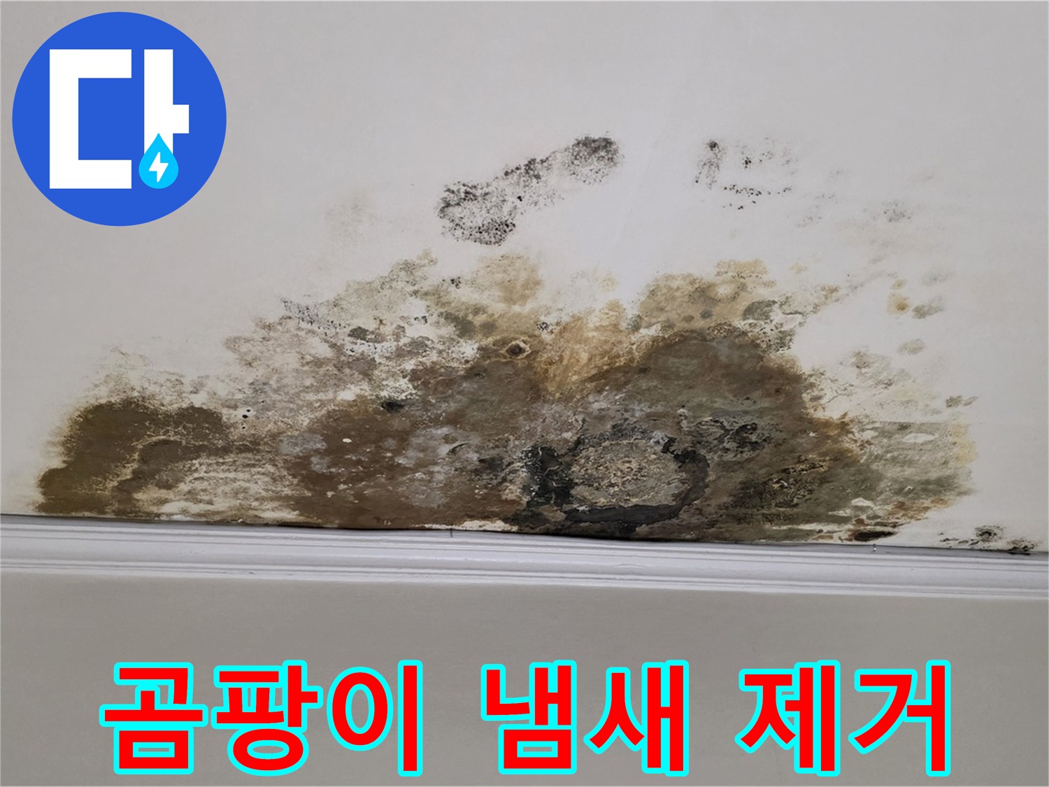 용강동 아파트 누수 - 곰팡이 냄새 제거까지 완벽하게