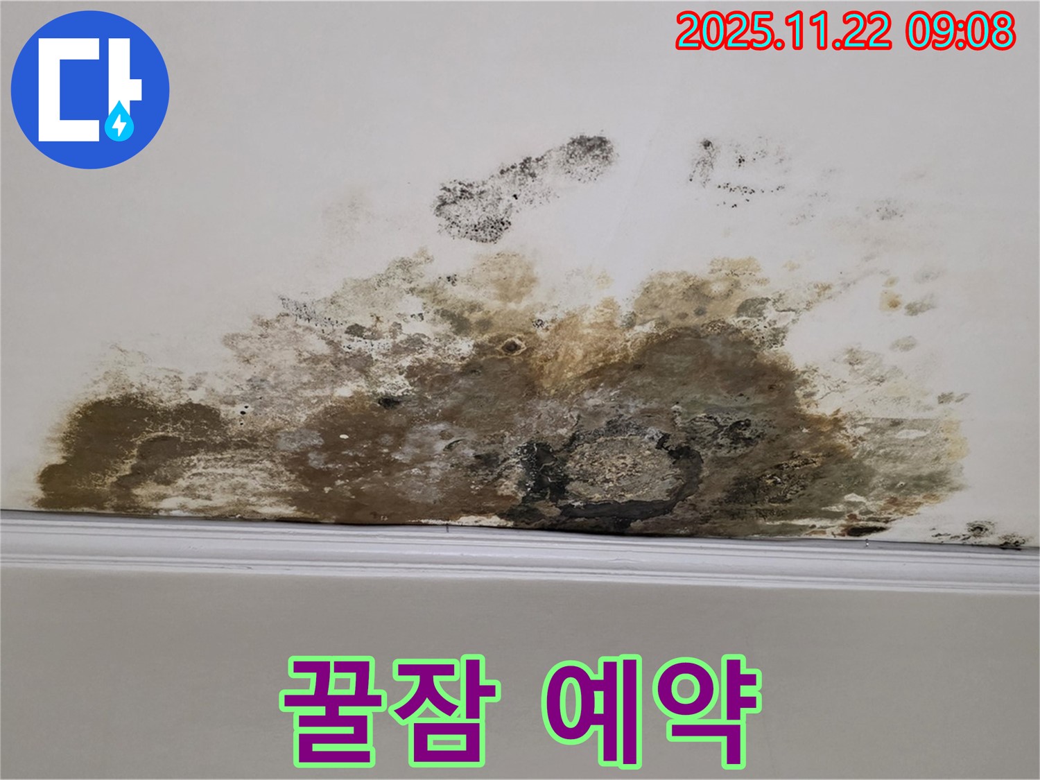 용강동 아파트 누수 - 곰팡이와의 악몽 끝, 쾌적한 보금자리에서 꿀잠 예약!