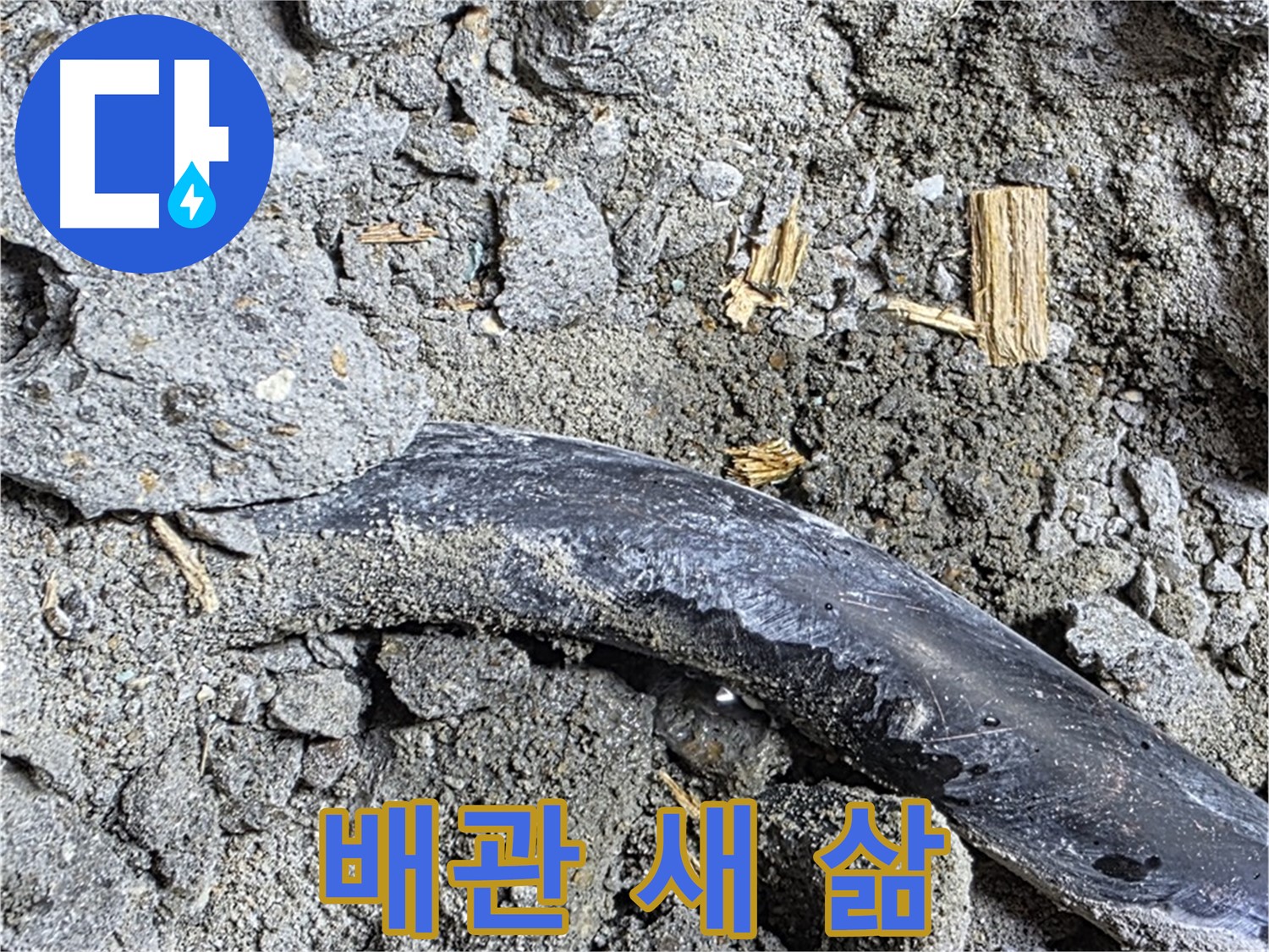 용강동 현대홈타운 - 스티로폼 조각 - 습기 가득 머금었을 가능성
