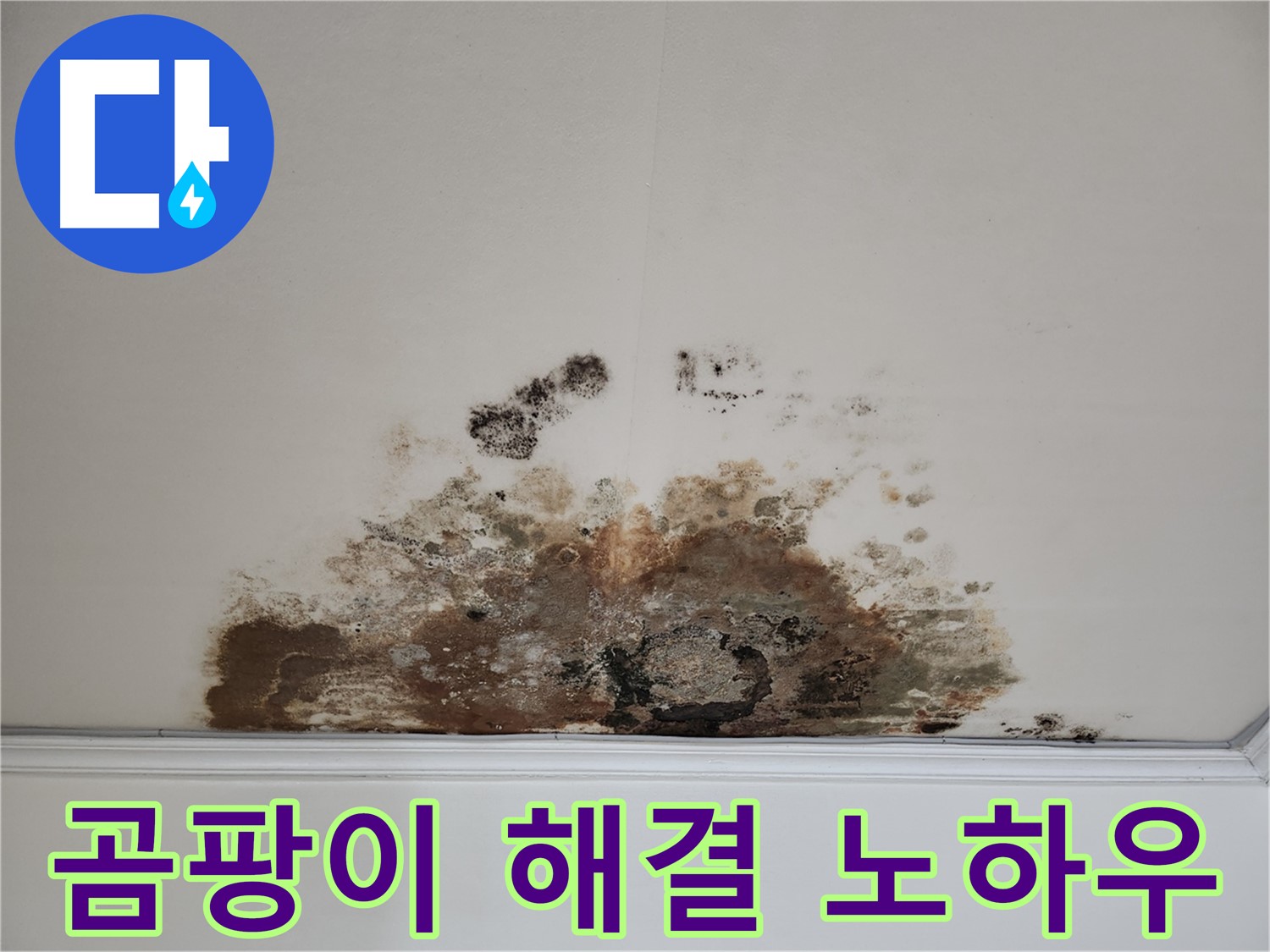 용강동 아파트 천장 누수 - 곰팡이, 완벽 해결 노하우 공개