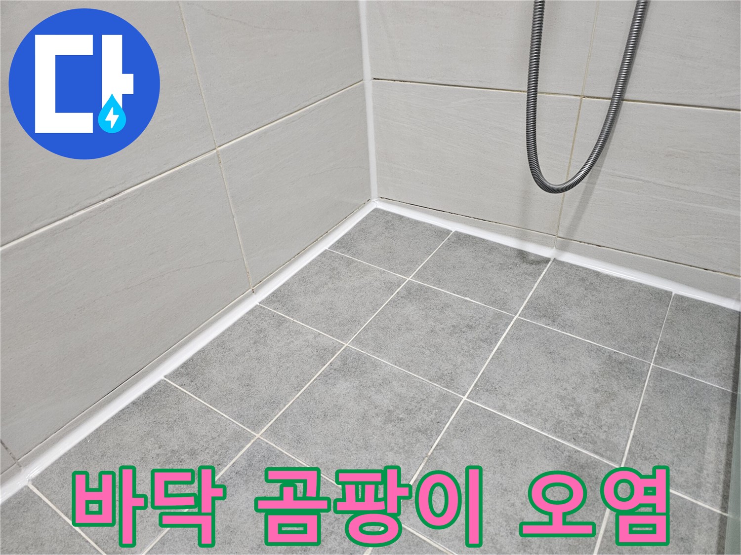 마포구 도화동 현대1차 아파트 욕실 - 바닥 타일의 곰팡이와 실리콘 오염 상태를 점검하여 청결 문제를 확인합니다.