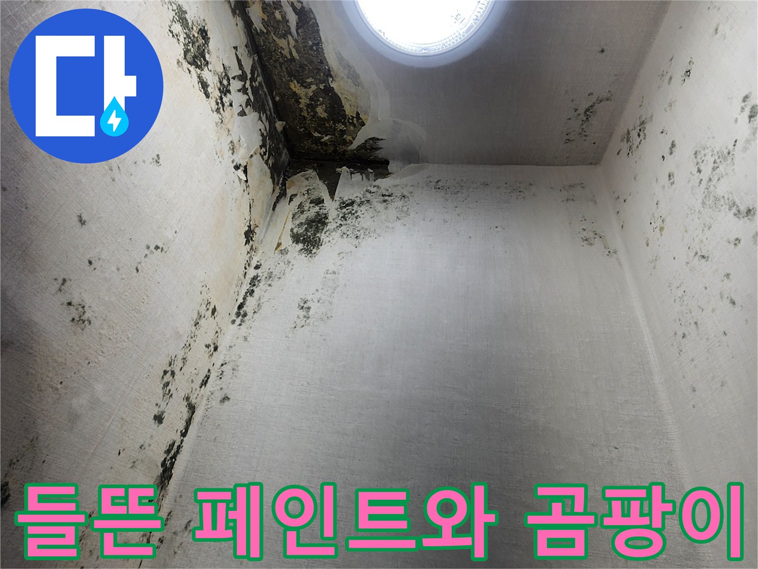 벽면-페인트가-벗겨지고-곰팡이가-발생한-상태