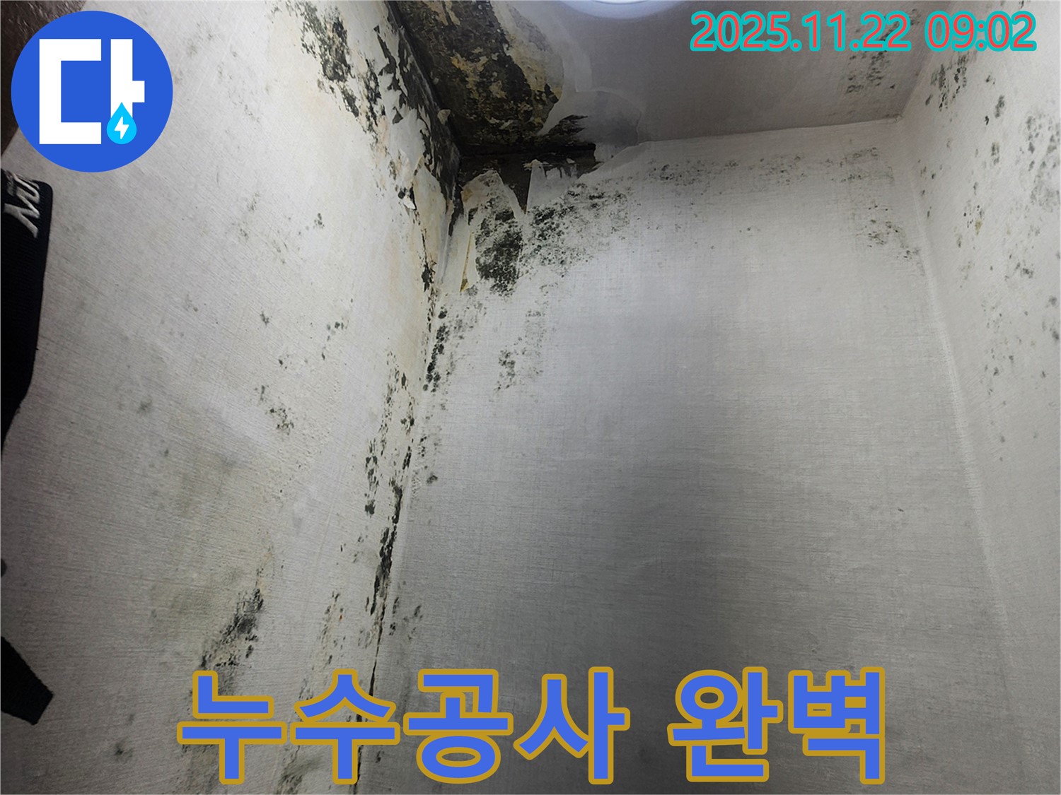 신곡1동 누수공사 - 곰팡이 심한 벽을 완벽하게 고치는 과정