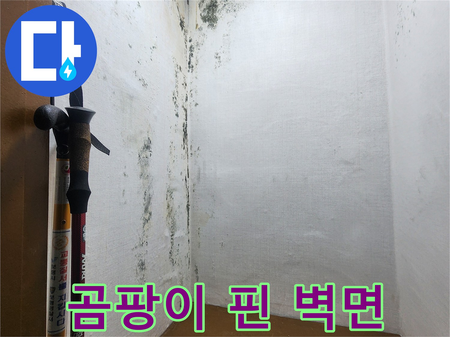 의정gsub_신곡동-벽면에_번진_검은_곰팡이와_물샘_흔적