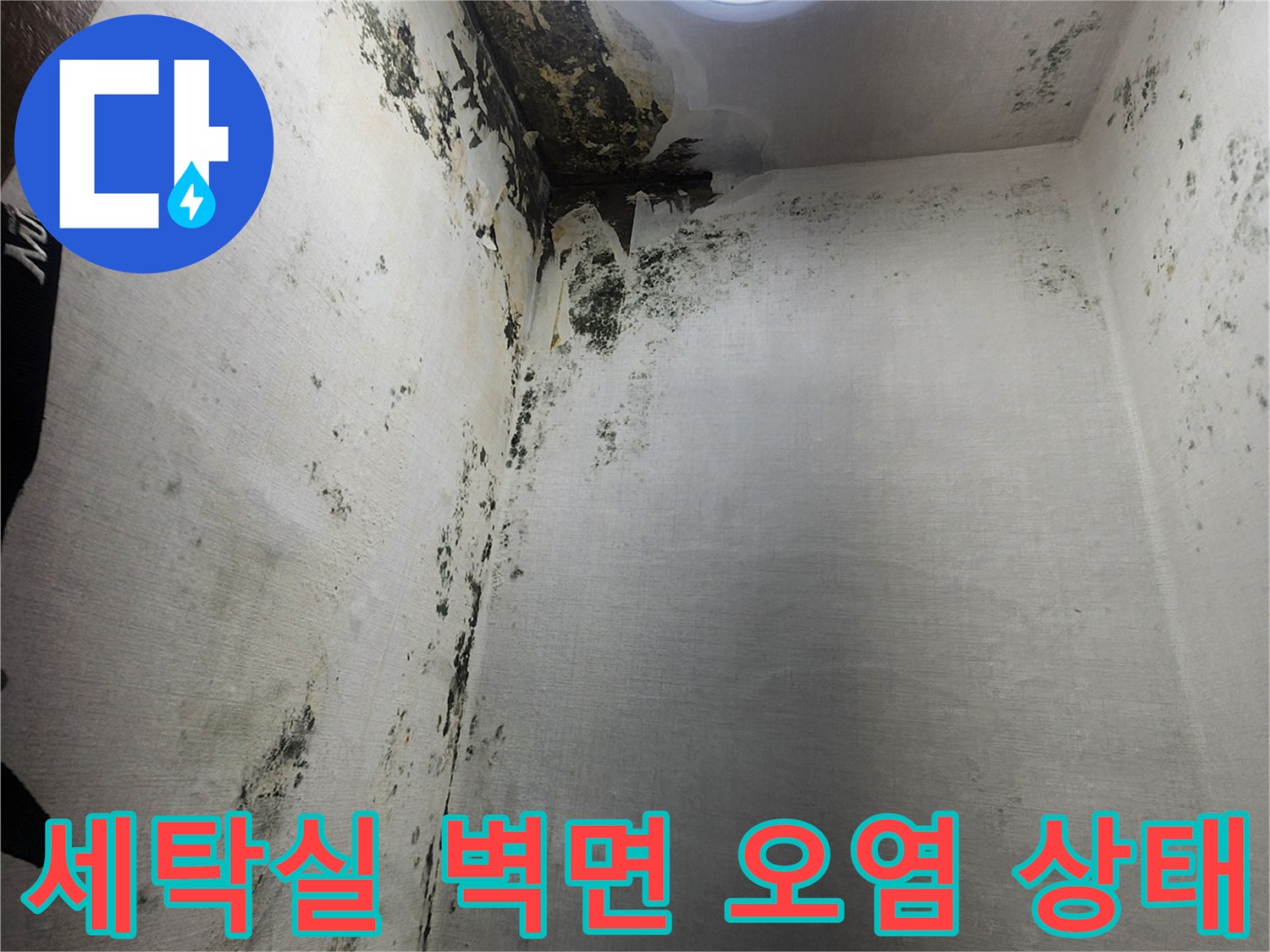 의정부 신곡동 현장-곰팡이가 번진 다용도실 벽체 부식 상황