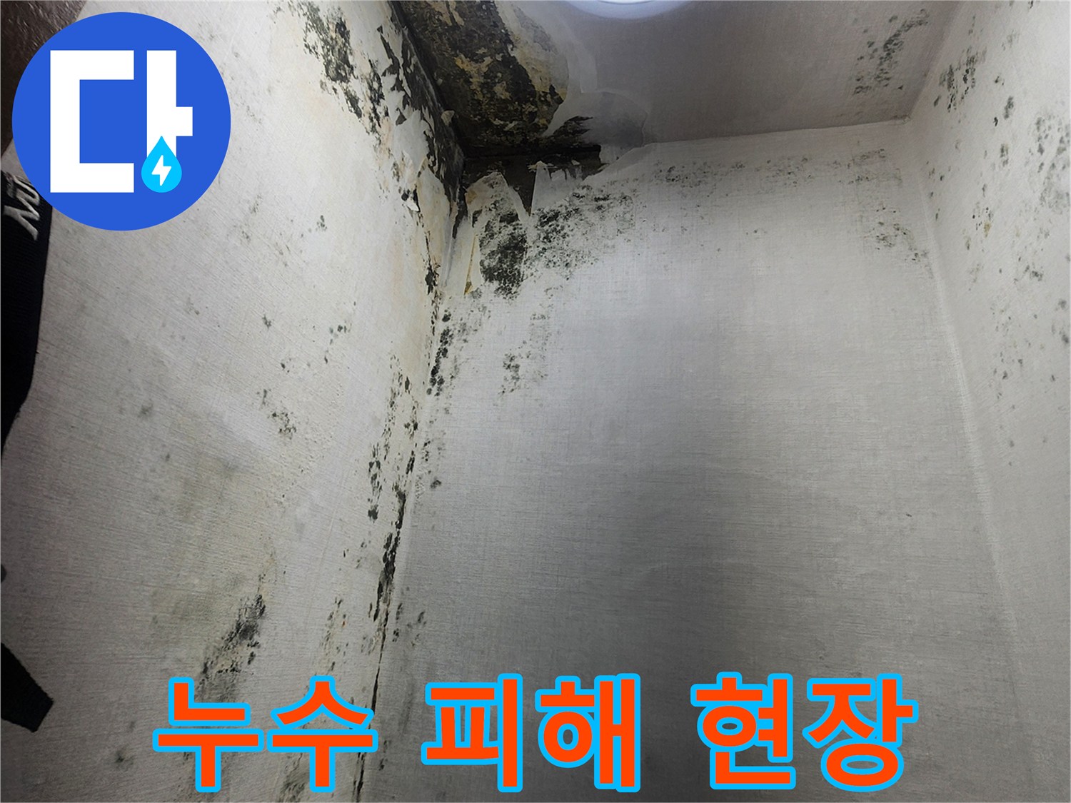 의정지 신곡동 현장-곰팡이와 부식으로 오염된 벽면 모습