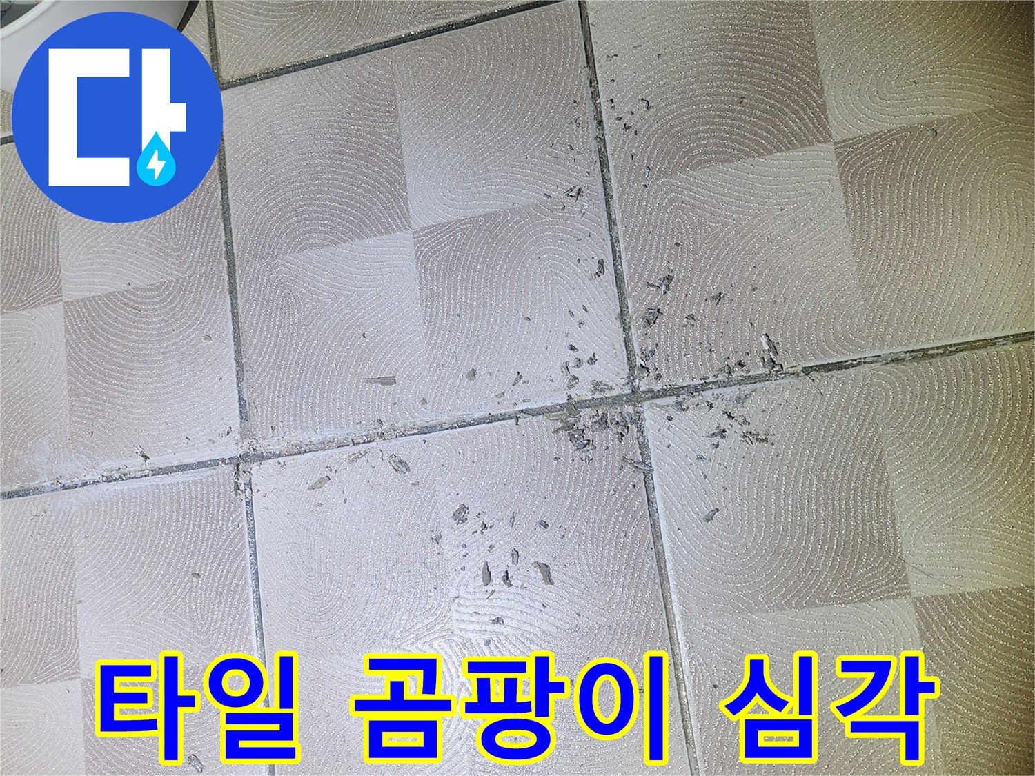 수원 e편한세상 광교 누수 - 깨진 타일 주변 백시멘트 가루 및 곰팡이 발생 매우 심각