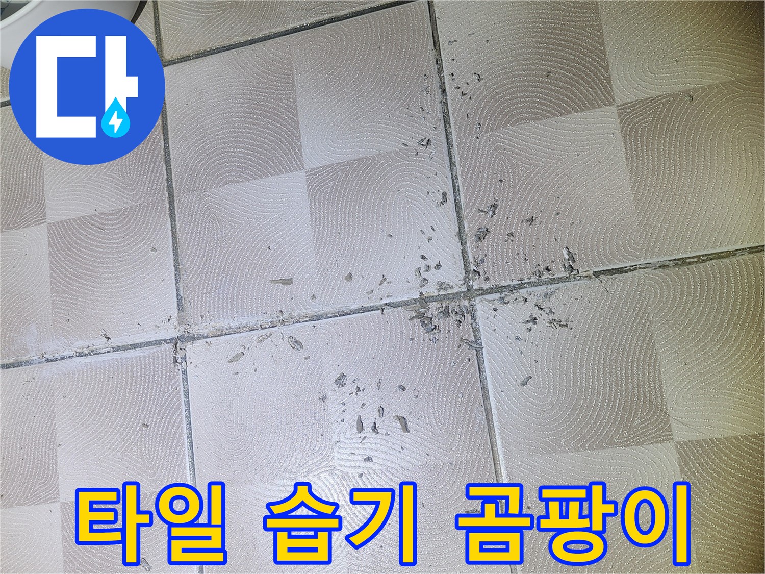 수원 누수 - 욕실 타일 손상 부위의 습기 및 곰팡이 발생 원인 분석