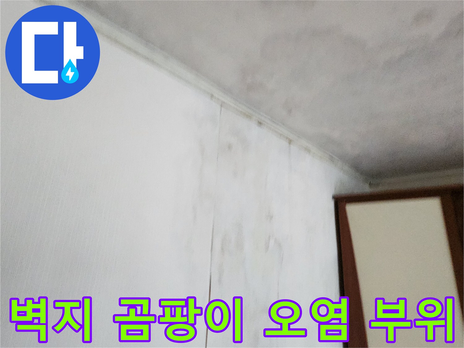 가산면 누수 현장-천장과 벽면 경계의 곰팡이 및 얼룩