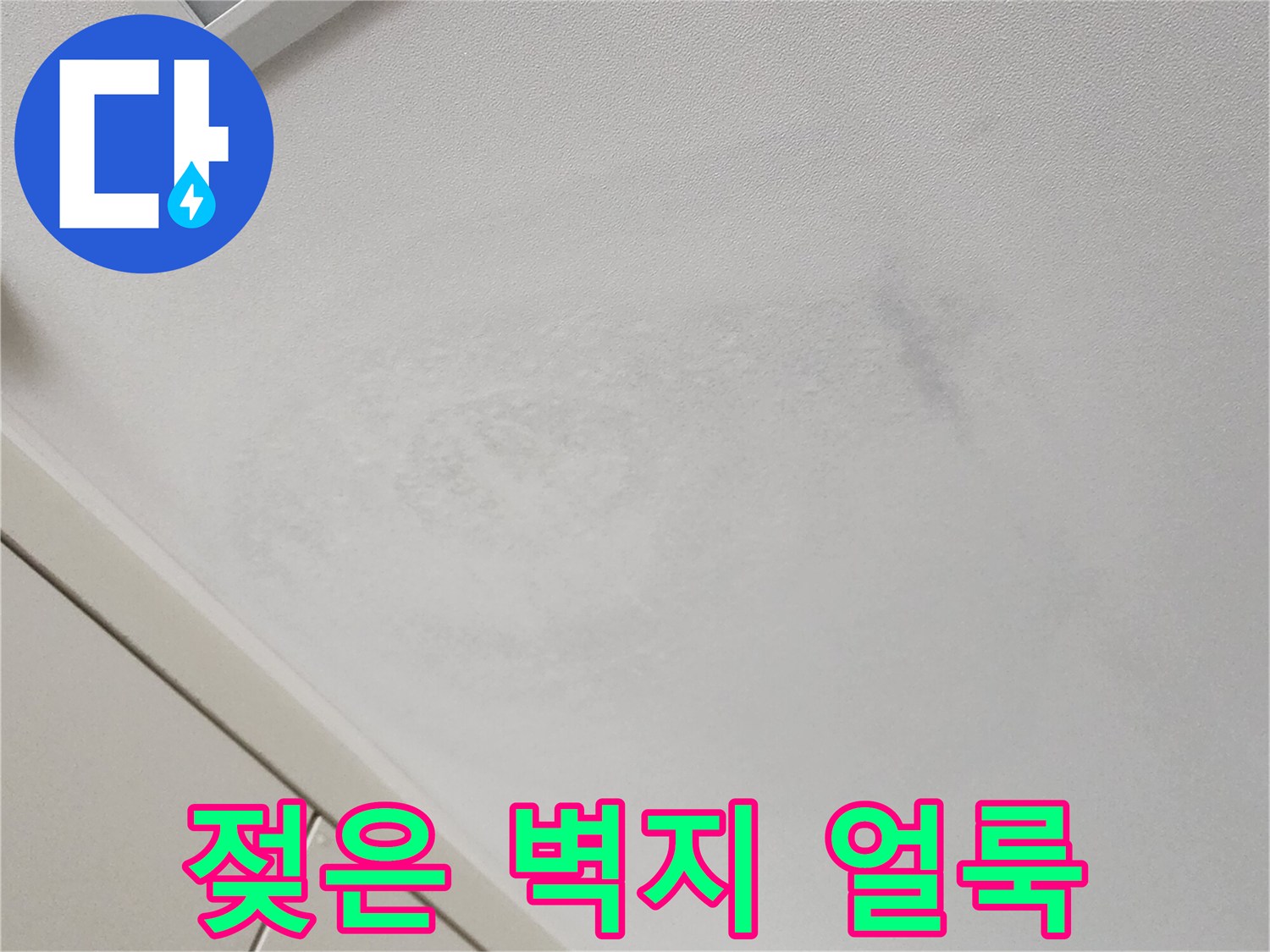 가산면 현장 사진-물기에 젖어 변색된 천장 벽지 상태