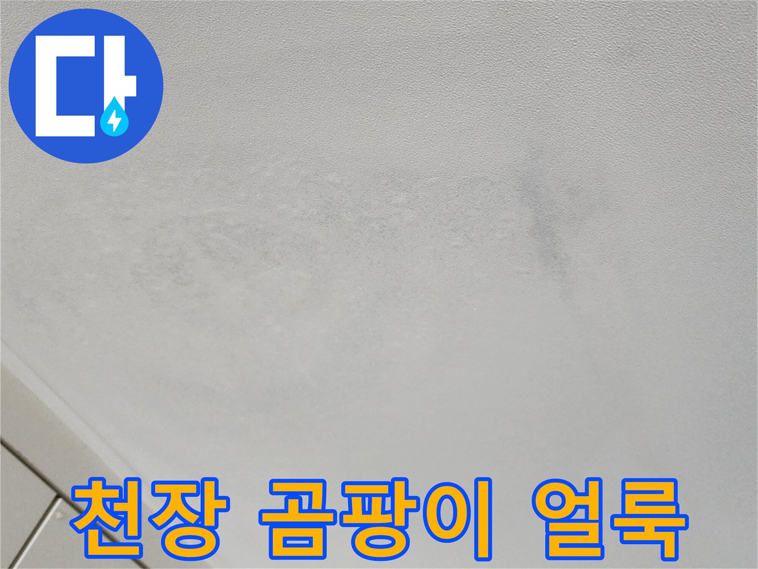벽지 표면에 나타난 곰팡이와 습기로 인한 변색 부위
