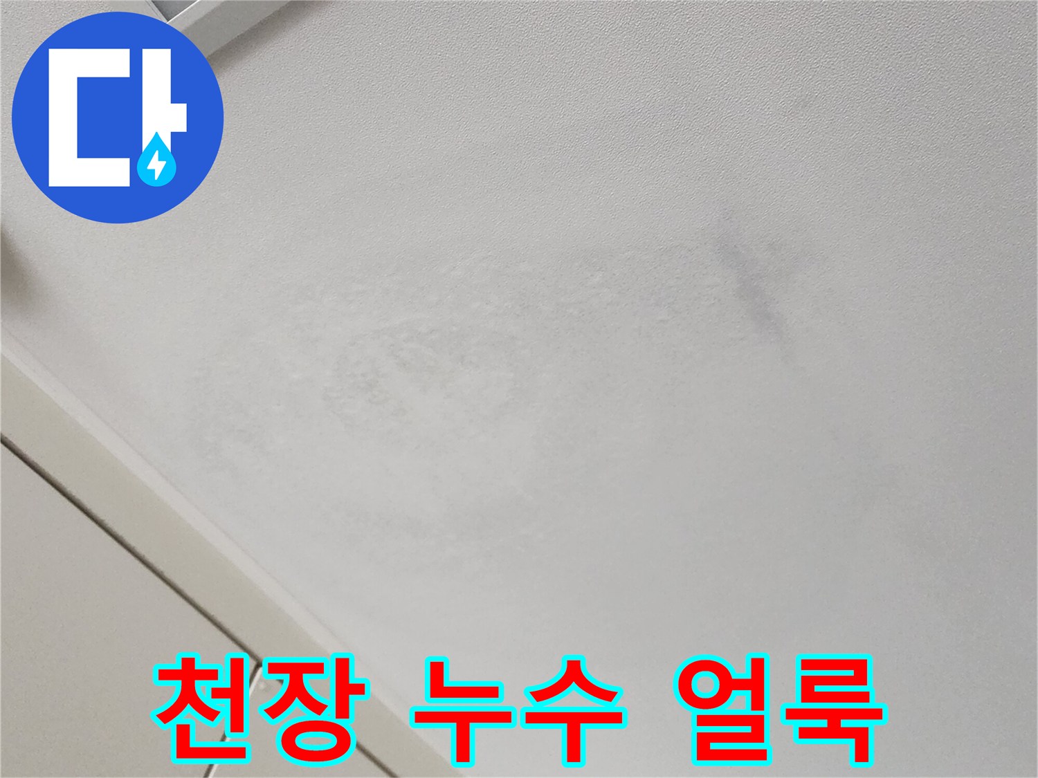천장-마감재-부분별-누수-오염-상태
