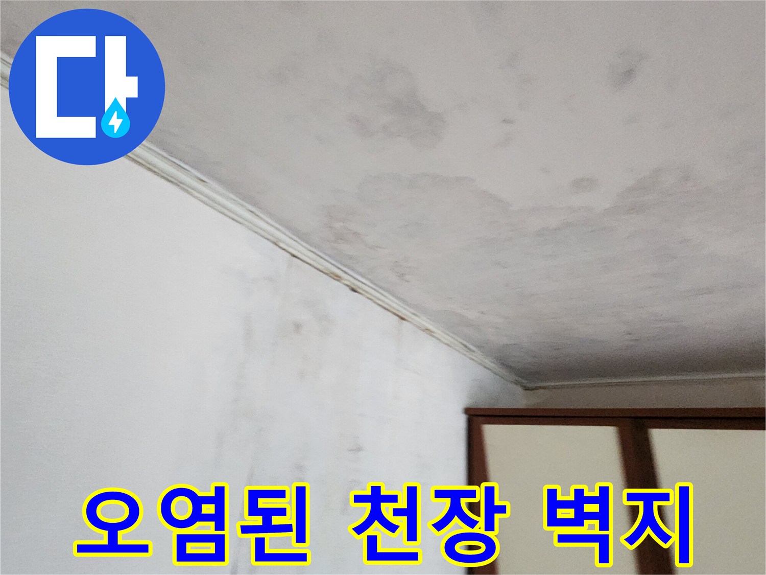 천장-벽면-경계의-곰팡이와-물자국-상태
