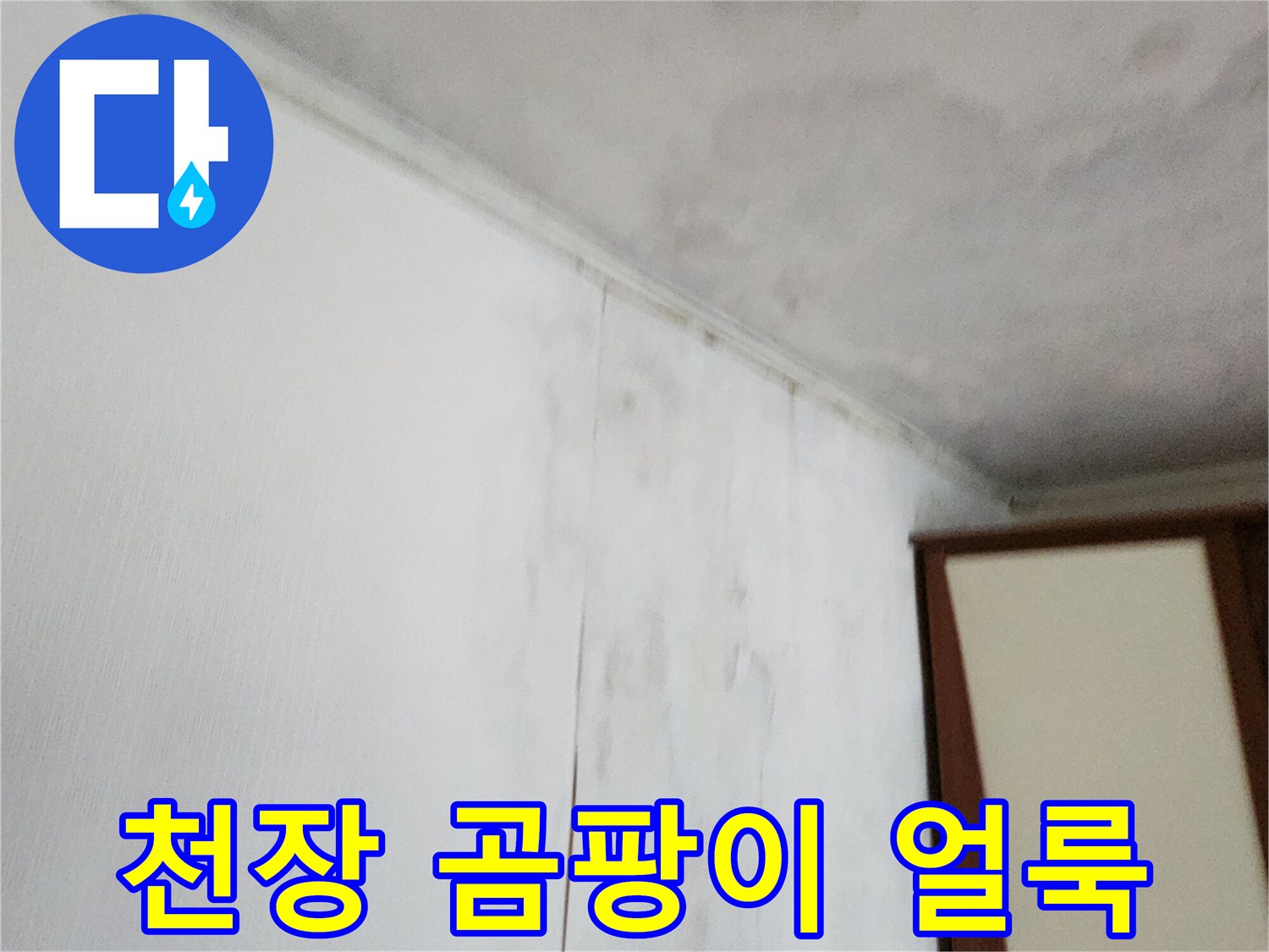 천장 벽지에 퍼진 곰팡이와 물자국 현상