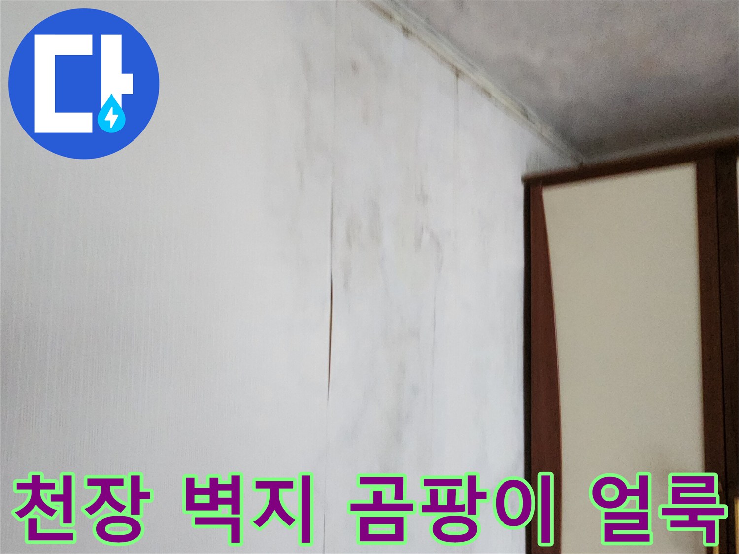 포천 가산면 현장의-천장 벽지 곰팡이와 습기로 인한 얼룩 상태