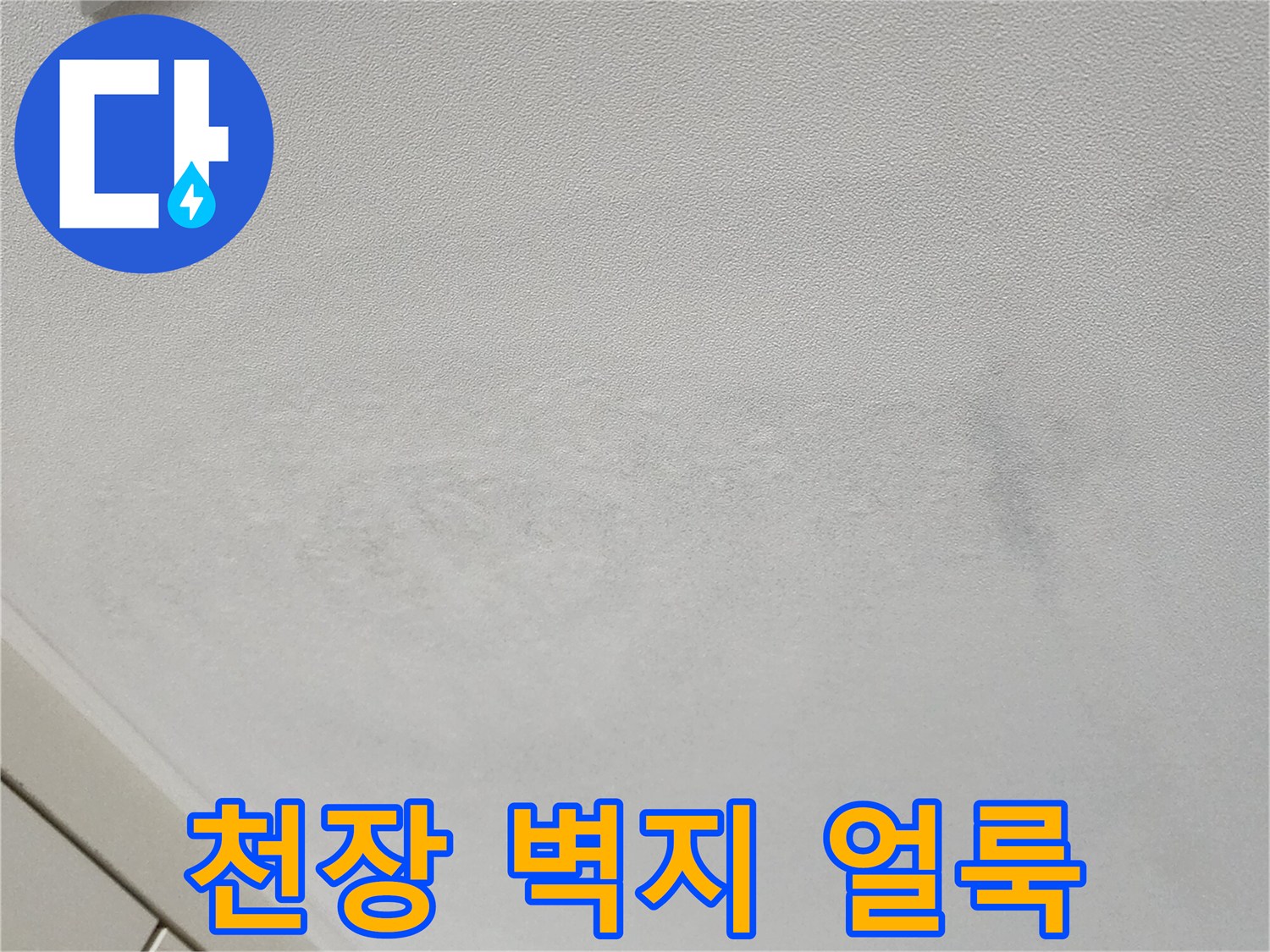 포천 가산면 현장의 천장 벽지 변색 및 얼ভাবে 상태를 보여주는 사진