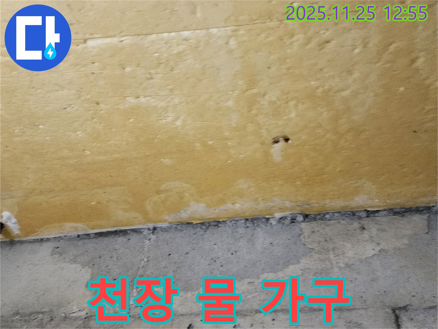 천장 물 가구 - 가구 손상 우려 - 빠른 조치