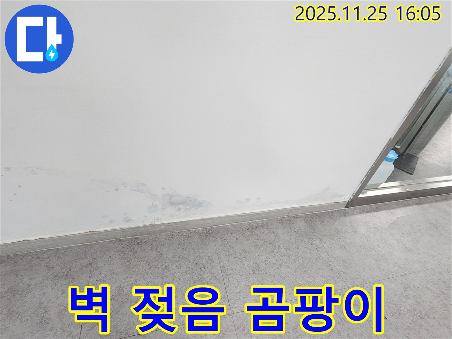 경기도 포천시 만세교리 - 젖은 벽과 곰팡이 냄새, 누수 가능성 진단