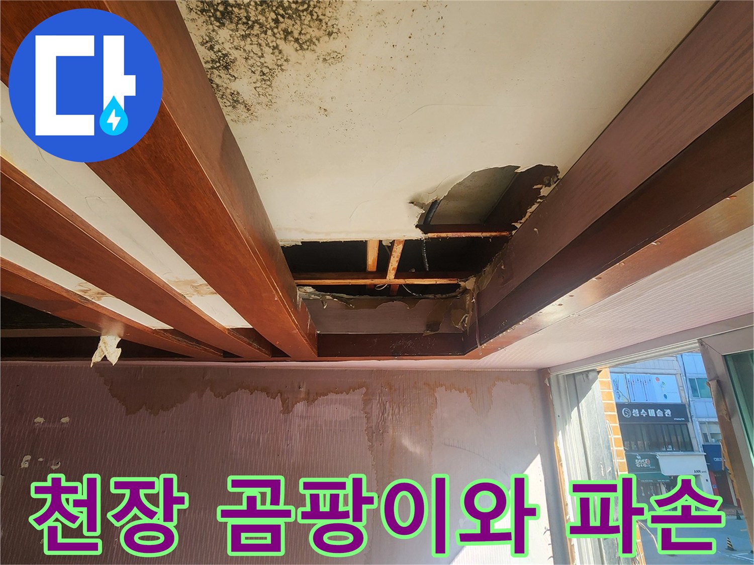 천장 내부의 곰팡이 발생 및 마감재 탈락 상태