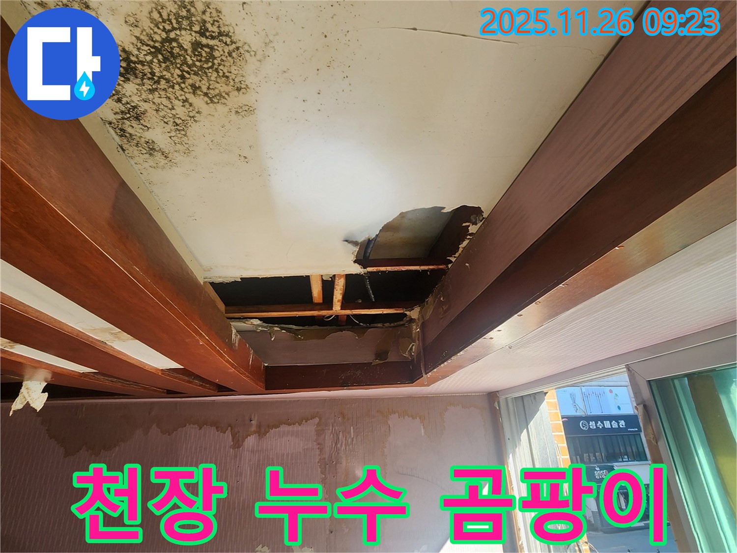 포천 신북면 주택 천장 누수 - 심각한 곰팡이 발생으로 누수 원인 파악 및 해결이 시급합니다.