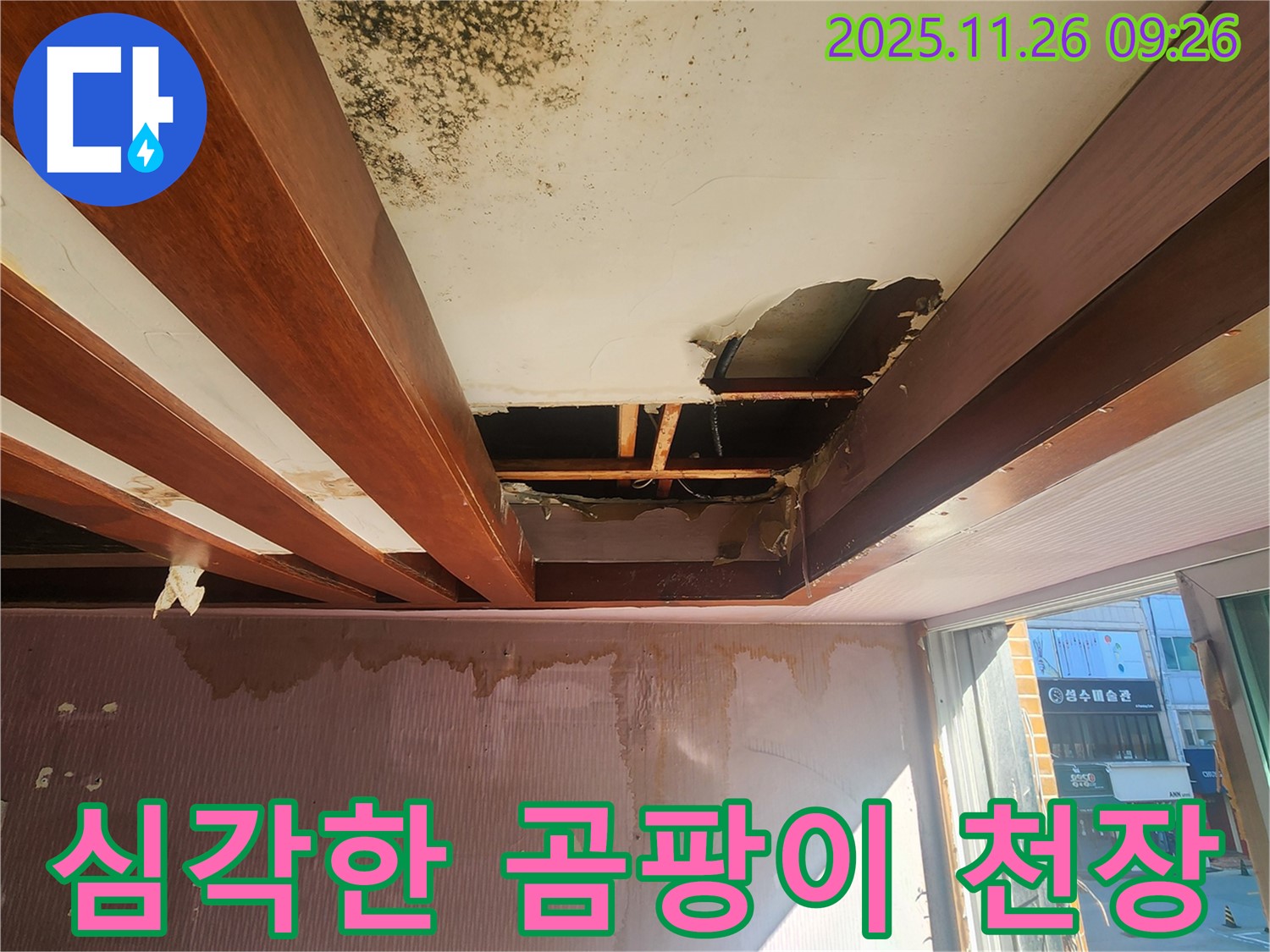 포천시 신북면에서 발생한 심각한 천장 누수 현장 - 곰팡이와 내려앉은 천장 상태를 보여줍니다.