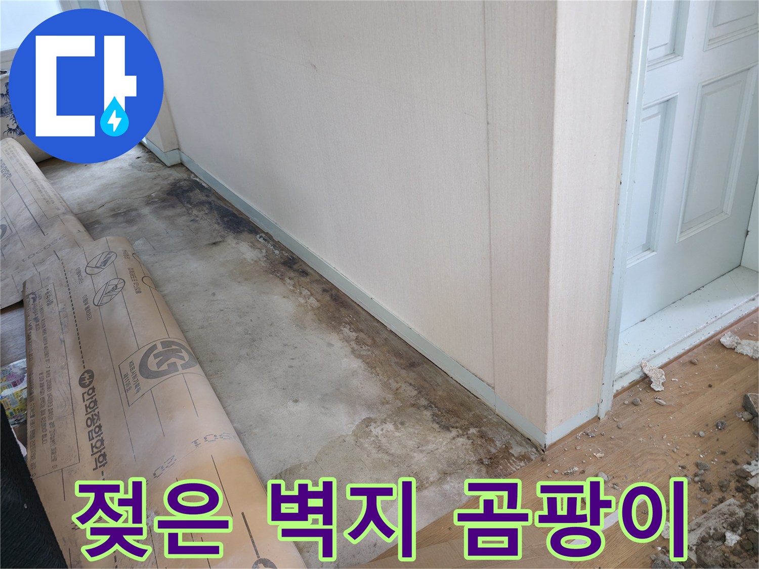 방배동 누수 - 젖은 벽지에 곰팡이가 번식하고 있는 모습, 곰팡이 포자 번식으로 건강에 적신호가 켜졌습니다.