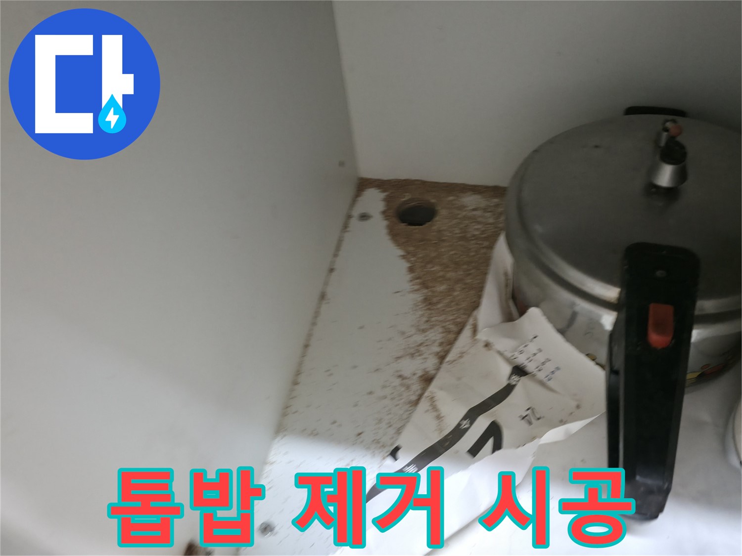 싱크대 하부 - 나무 젖음 - 전문가의 도움이 필요합니다.