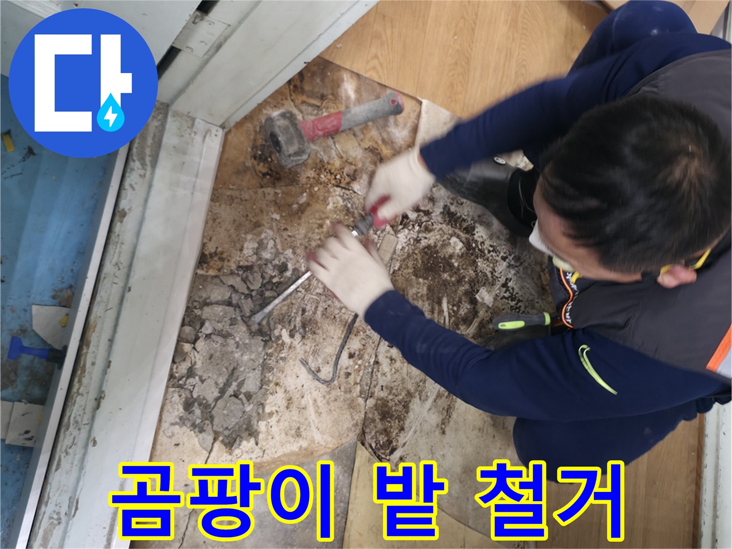 서초구 누수 - 곰팡이 밭 바닥 철거