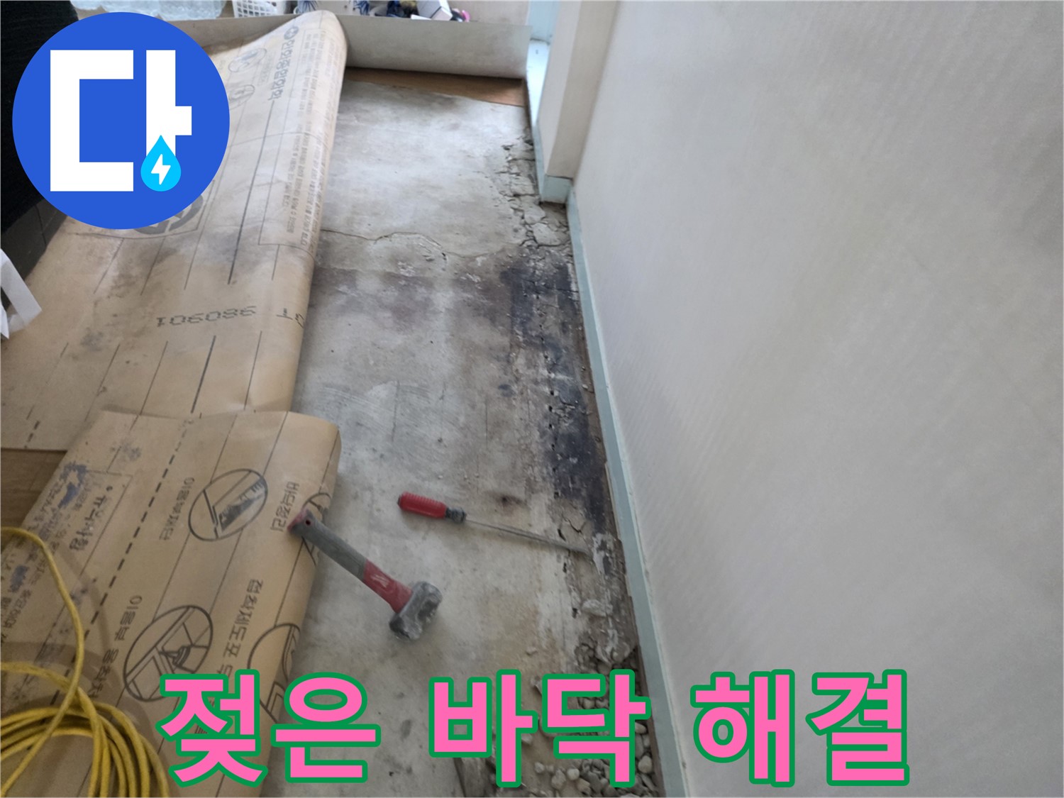 서초구 서초2동 누수 - 벽면 하단 곰팡이와 장판 들뜸 현장 확인