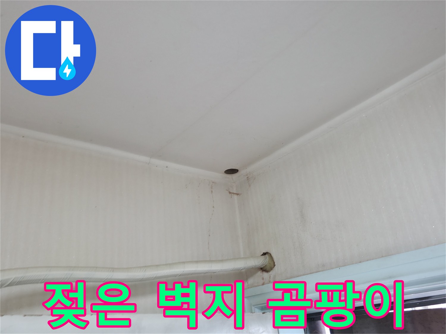 서초구 서초2동 명달로4길 누수 - 젖은 벽지는 곰팡이 번식의 최적의 장소입니다.