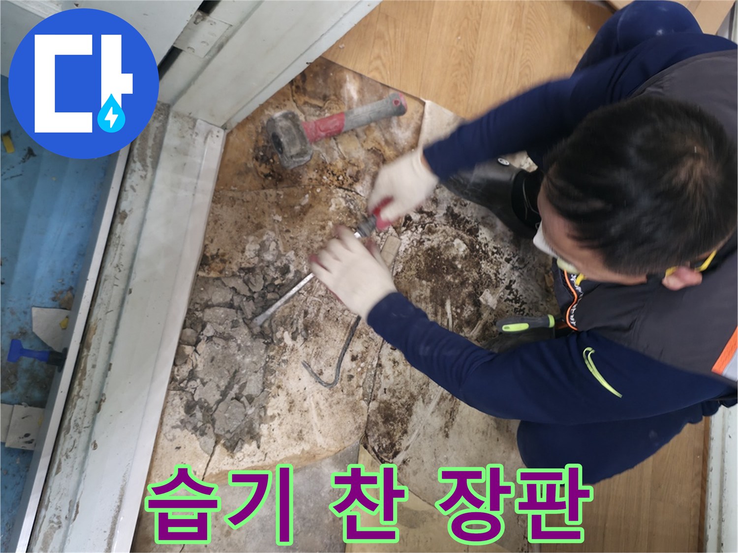서초구 서초2동 명달로50 - 습기로 인해 눅눅해진 장판의 모습입니다 - 습기와의 전쟁!