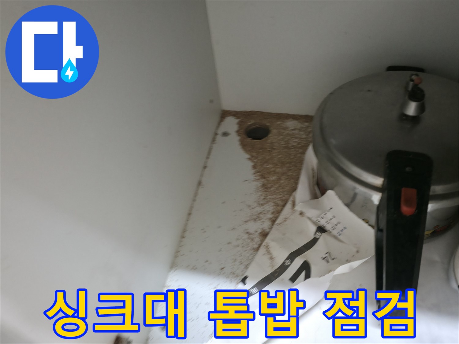 싱크대 밑 - 톱밥 - 방치 금지 - 빠른 해결 필수