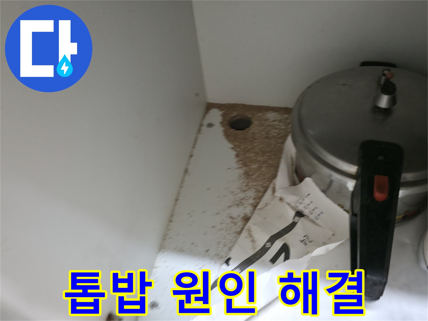 싱크대 밑 - 합판 썩음 - 신속 점검 - 피해 최소화