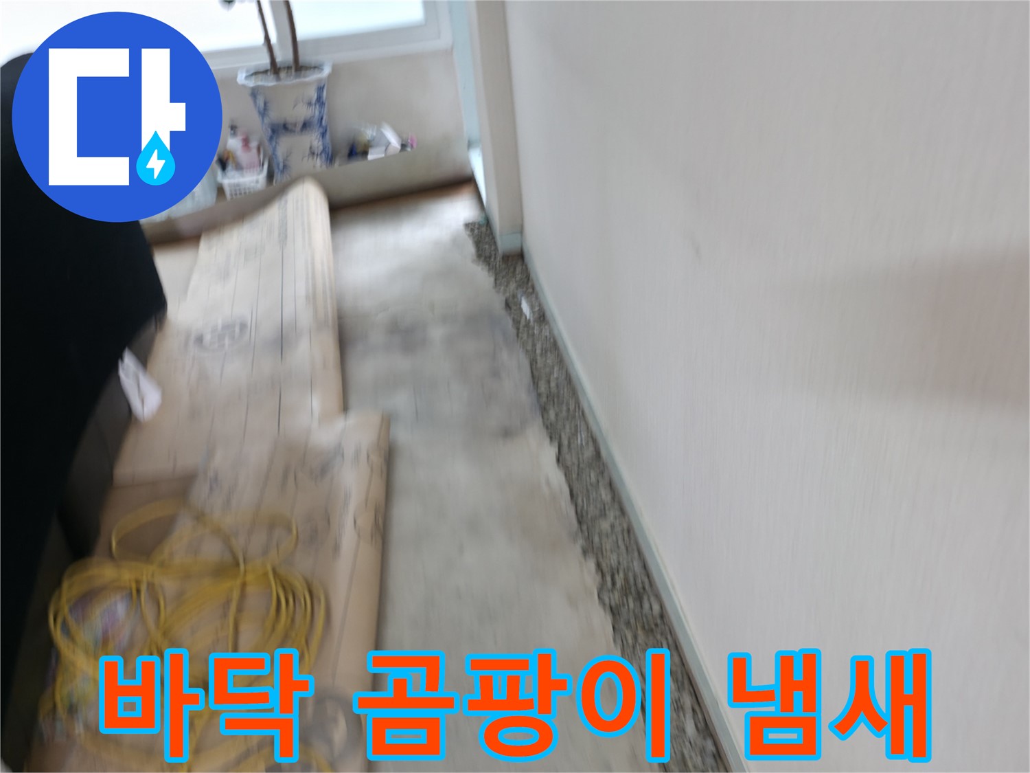 서초구 서초동 누수 - 벽 옆 바닥 곰팡이와 퀴퀴한 냄새 문제 해결 현장 이미지