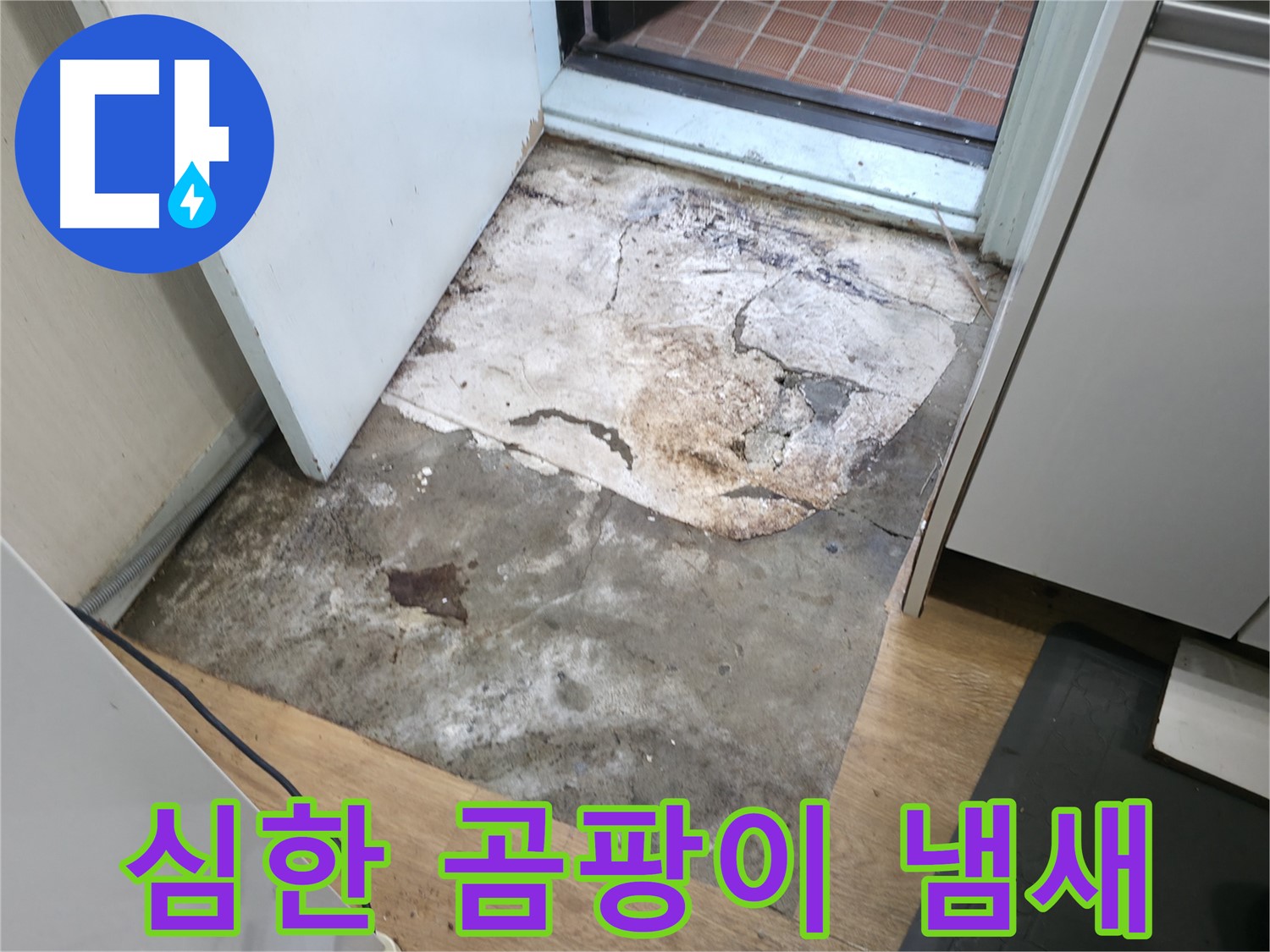 서초동 누수 현장 - 심한 곰팡이 냄새가 나는 현관 - 누수로 인한 습기 심각