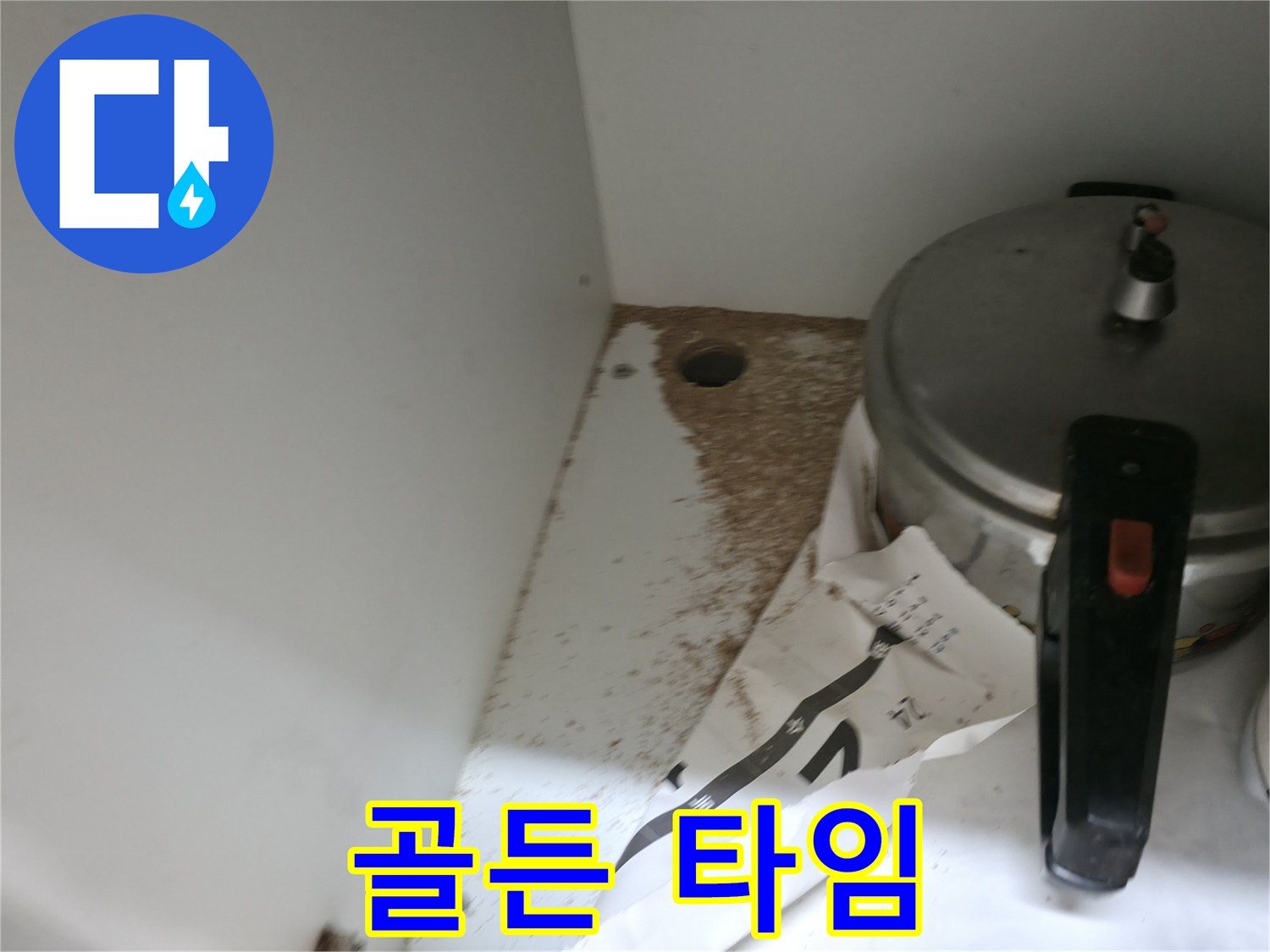 싱크대 밑 - 톱밥 - 2차 피해 - 골든 타임 놓치지 마세요