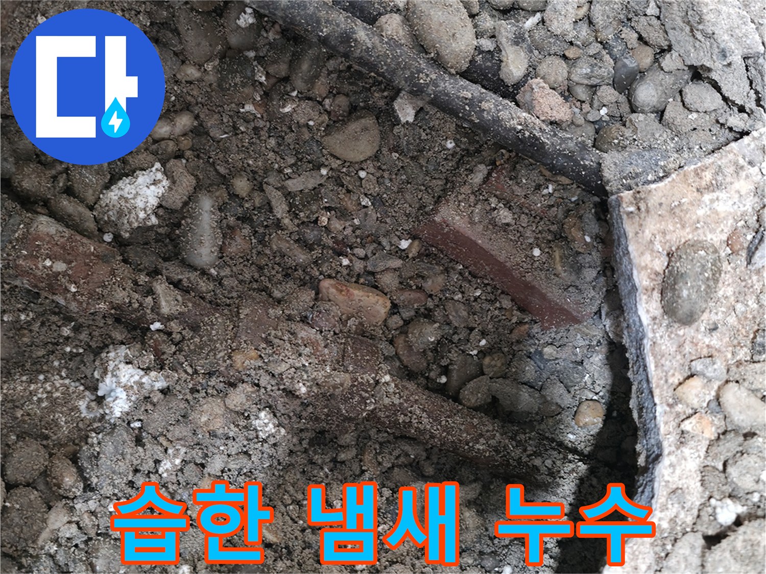 양재2동 누수 현장 - 습한 냄새와 함께 발견된 바닥 누수 모습 - 서초 누수 진단 전문 업체가 정확하게 진단합니다.