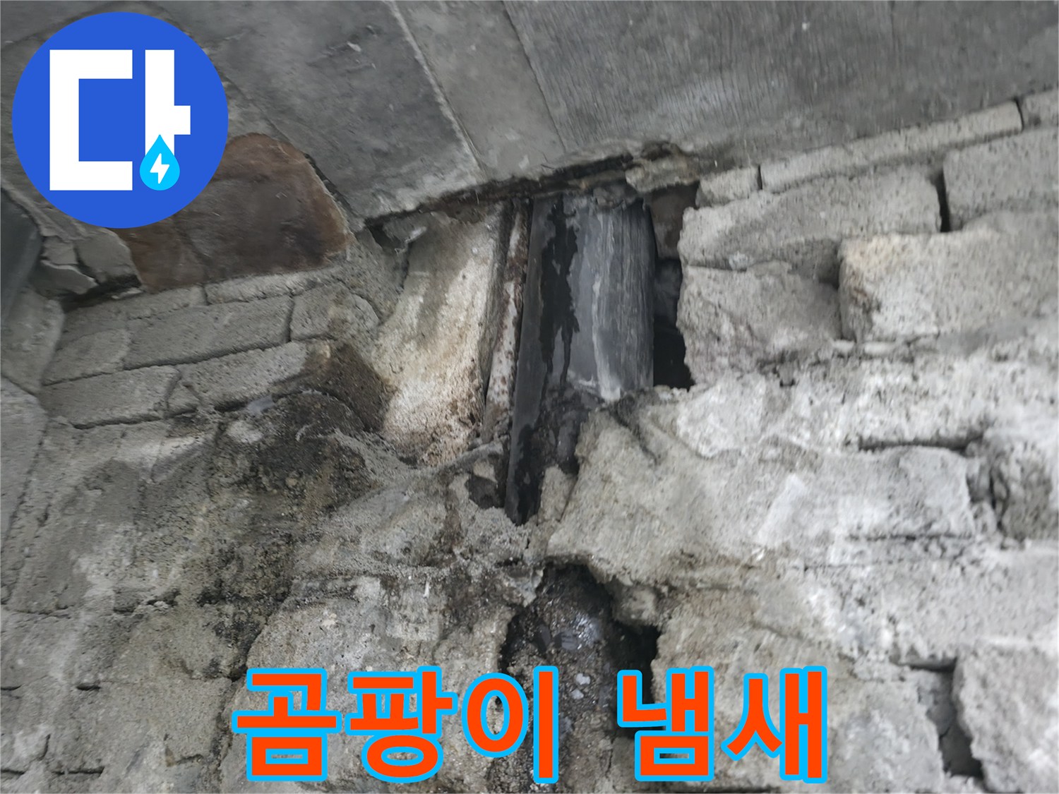 외벽 누수 곰팡이 냄새 - 외벽 누수로 인해 곰팡이 냄새가 심하게 나는 상황입니다.