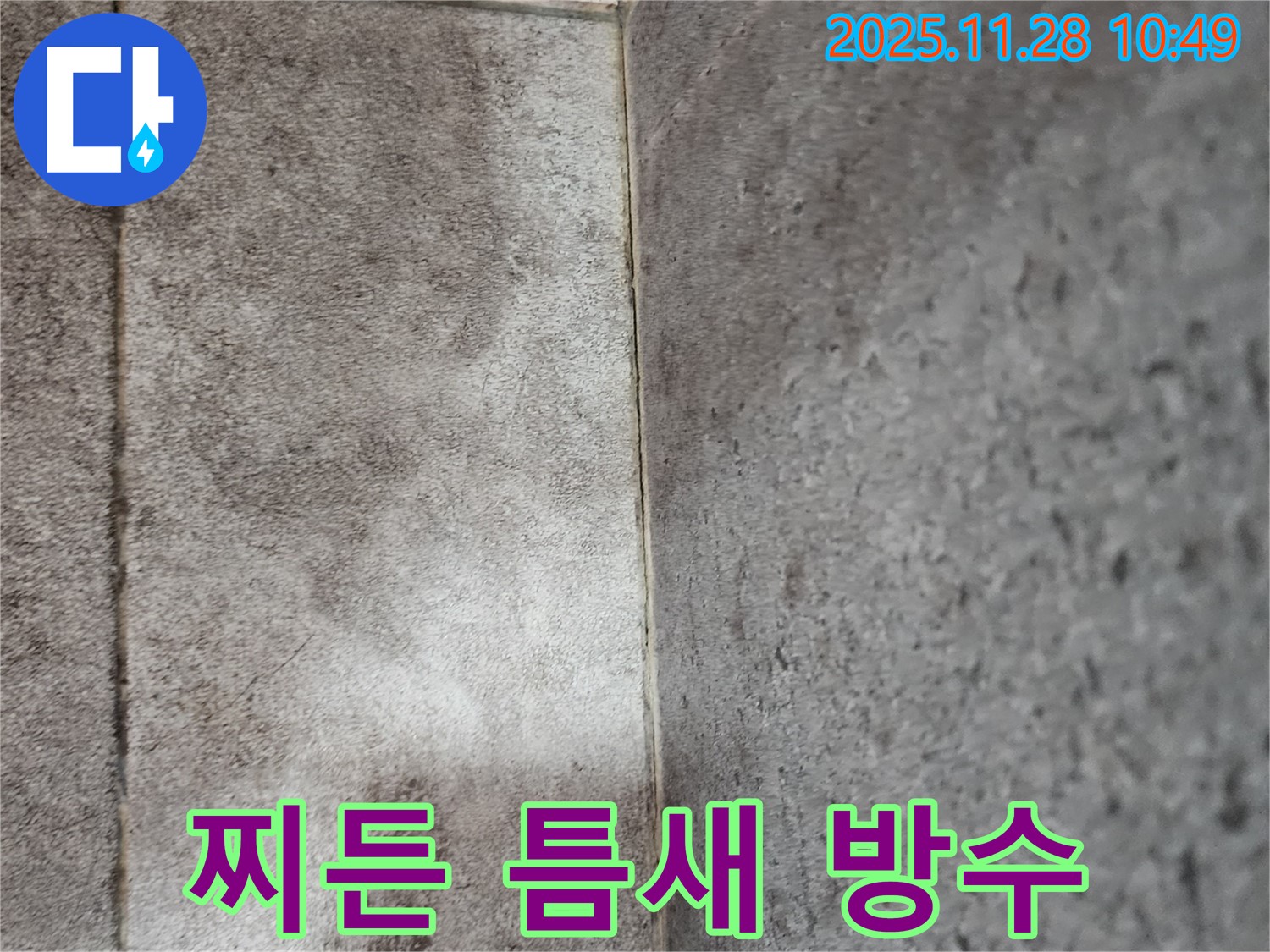 금동리 욕실 누수 - 곰팡이와 물때로 찌든 욕실 타일 틈새 곰팡이 제거 후 틈새 실리콘 마감으로 완벽 방수!