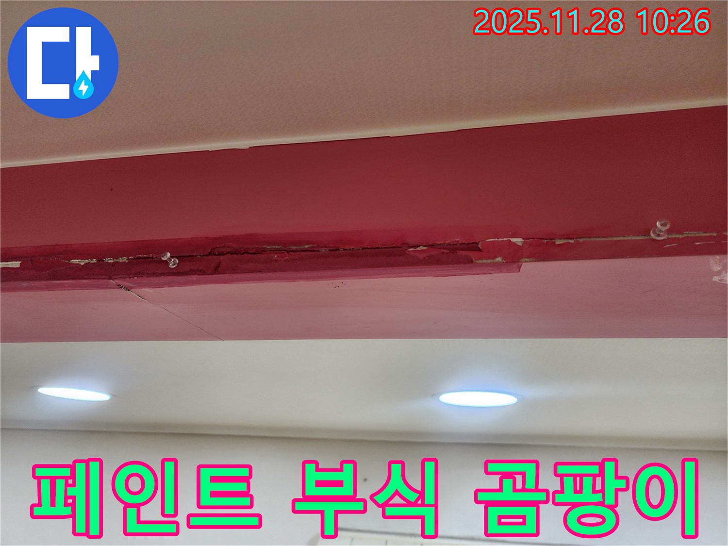 붉은색 천장 페인트 부식 곰팡이 - 누수로 인해 페인트가 화학적으로 부식되고 곰팡이가 심하게 번식하여 끔찍한 모습입니다.