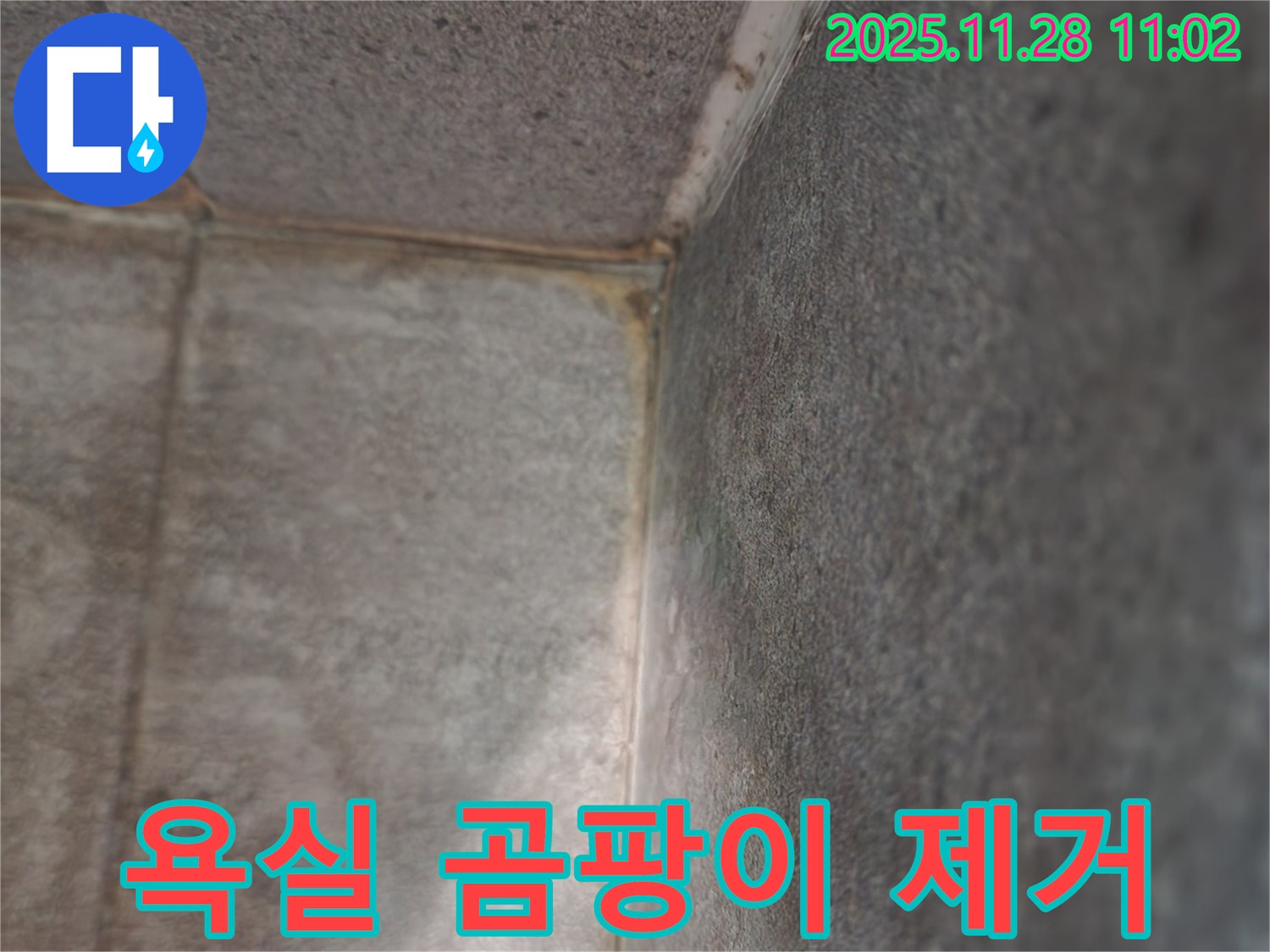 신북면 금동리 욕실 누수 현장 - 곰팡이 제거 작업 시작