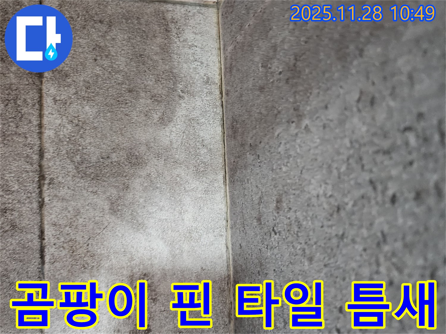 포천 신북면 금동리 - 곰팡이 핀 욕실 타일 틈새 누수 해결 과정