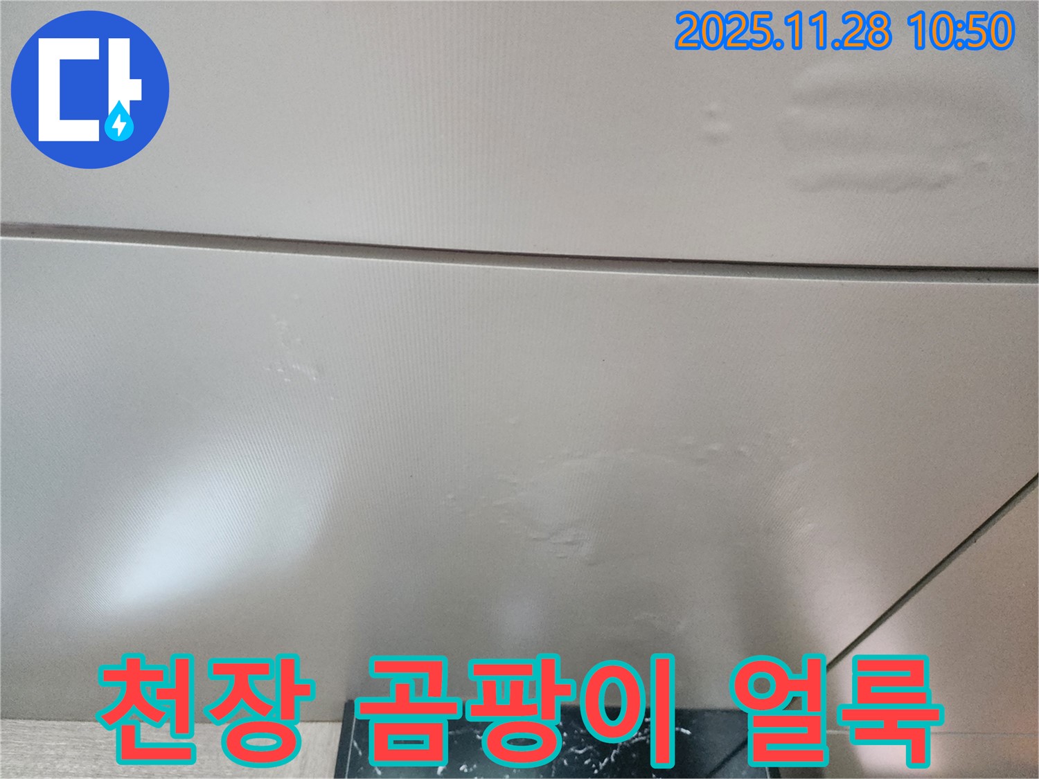 포천 신북면 금동리 누수 - 천장 곰팡이 얼룩 제거와 함께 누수 문제까지 완벽하게 해결하여 건강한 생활 공간을 만들어 드립니다.