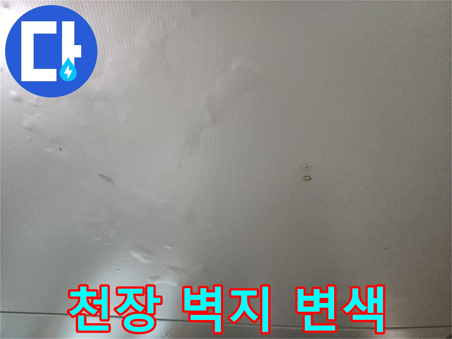 포천 신북면 현장의 천장 벽지가 물기에 젖어 변색된 모습입니다.