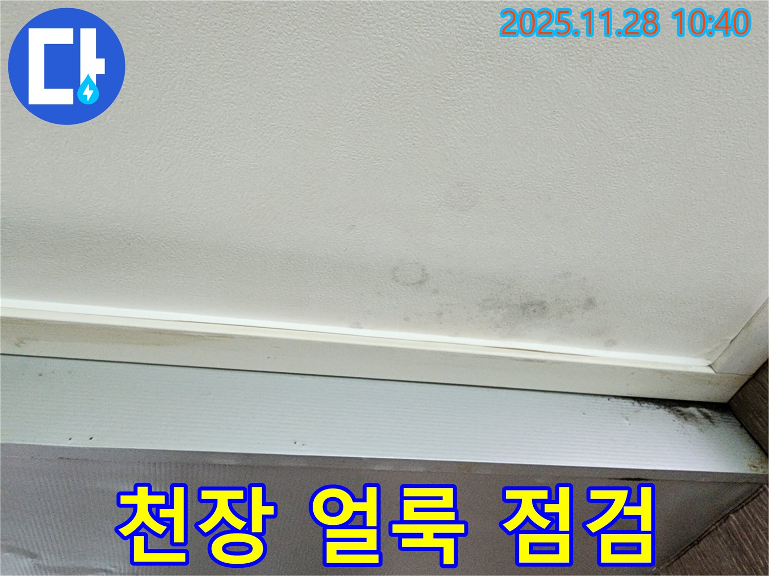 포천시 신북면 금동리 누수 - 천장 얼룩, 혹시 누수? 긴급 점검으로 해결하세요!