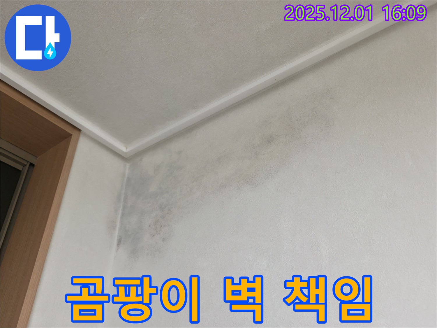 곰팡이 벽 - 100% 책임 시공 - 기흥역 누수